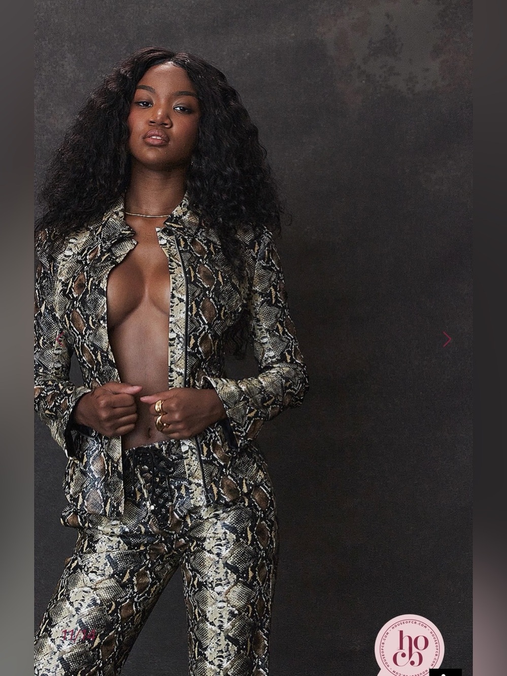 🇺🇸Firm Price🇺🇸House of CB VANI Snake Print Fitted Jacket - Picture 6 of 16